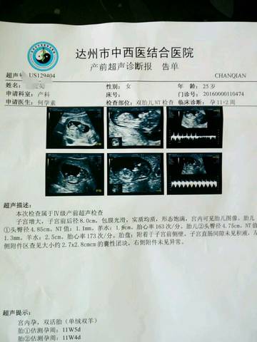 journal_insert_pic_834281665