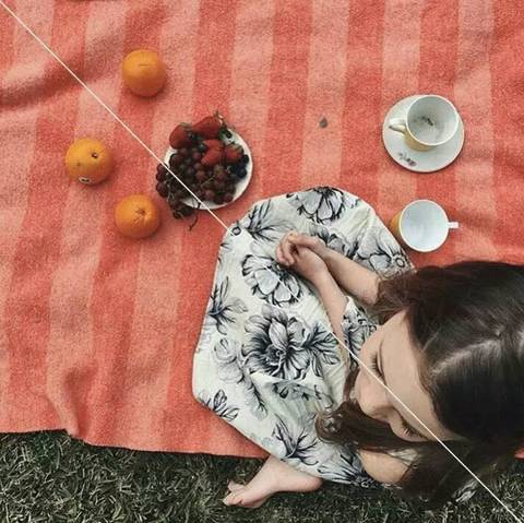 journal_insert_pic_834519253