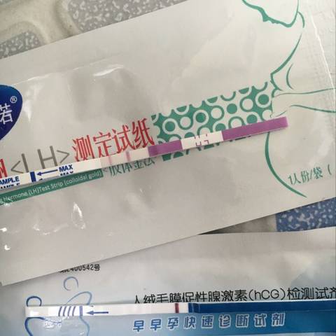 journal_insert_pic_834899979