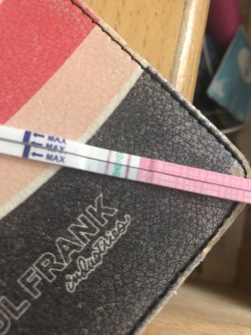 journal_insert_pic_834923339