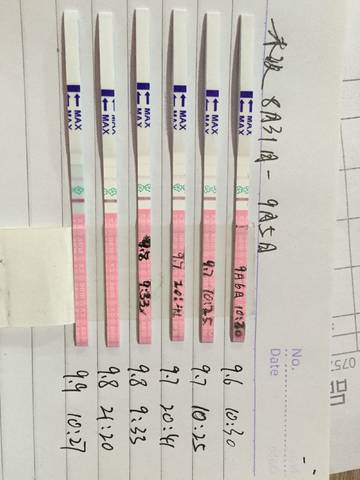 journal_insert_pic_834938091