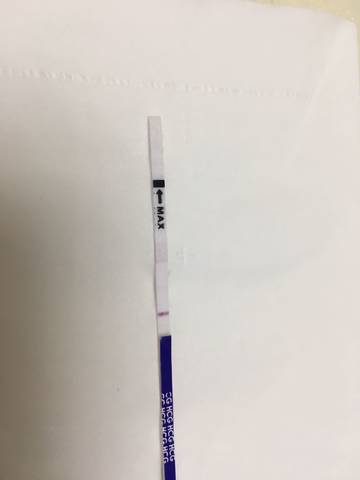 journal_insert_pic_835965075