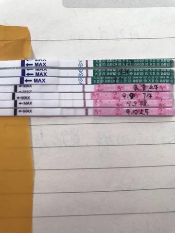 journal_insert_pic_835540961