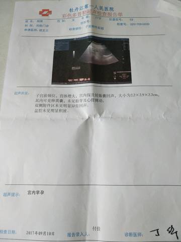 journal_insert_pic_835746626