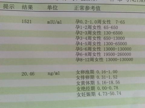 journal_insert_pic_836850311