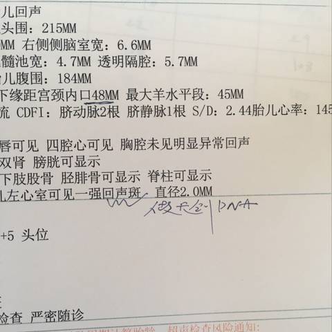 journal_insert_pic_837299413