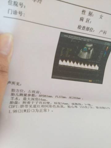 journal_insert_pic_837971525