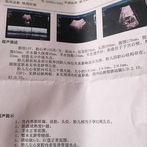 journal_insert_pic_838800526
