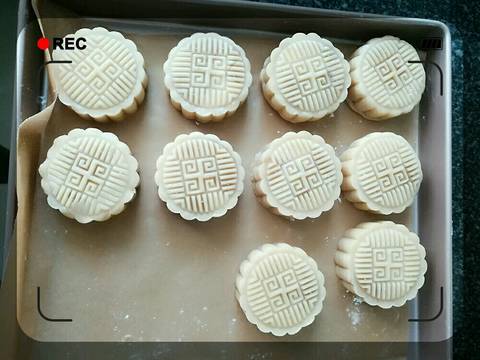 journal_insert_pic_838591340