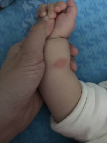 journal_insert_pic_839434853