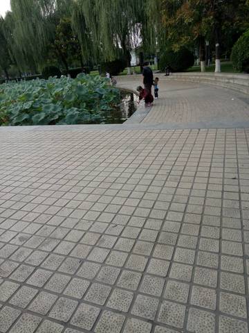 journal_insert_pic_840945486