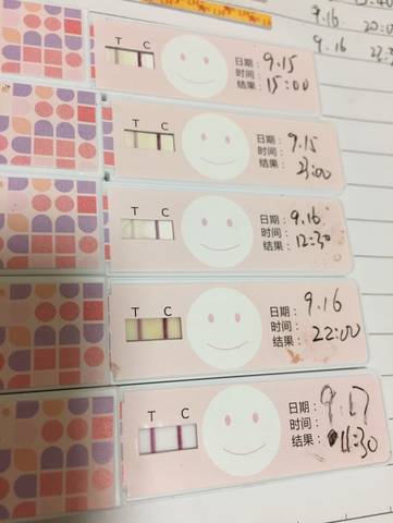 journal_insert_pic_840705033