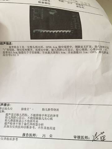 journal_insert_pic_841533799