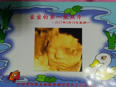 journal_insert_pic_841819393