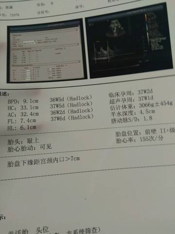 journal_insert_pic_841666803