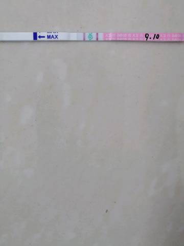 journal_insert_pic_841488141
