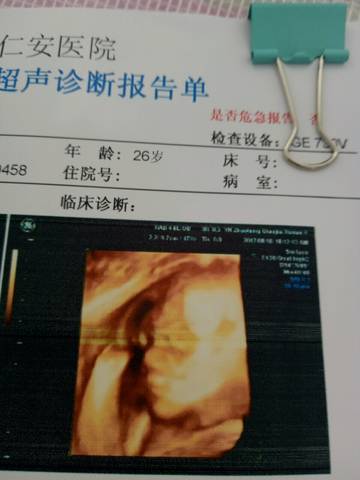 journal_insert_pic_841584481