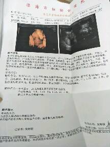 journal_insert_pic_841627520