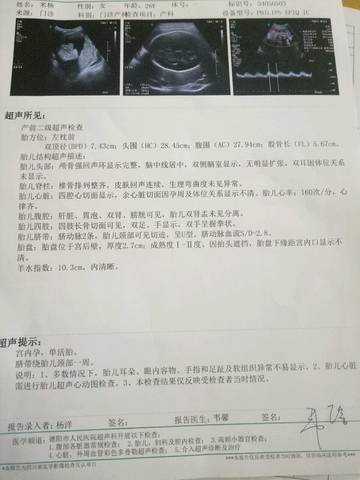 journal_insert_pic_842437335
