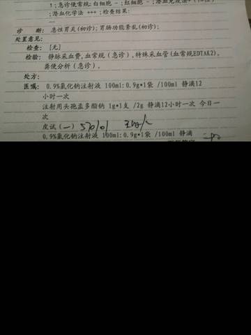 journal_insert_pic_843249286