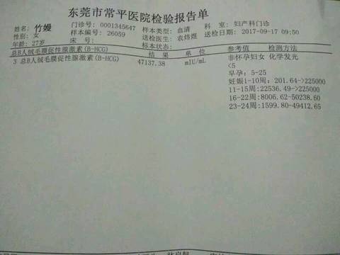 journal_insert_pic_845060435