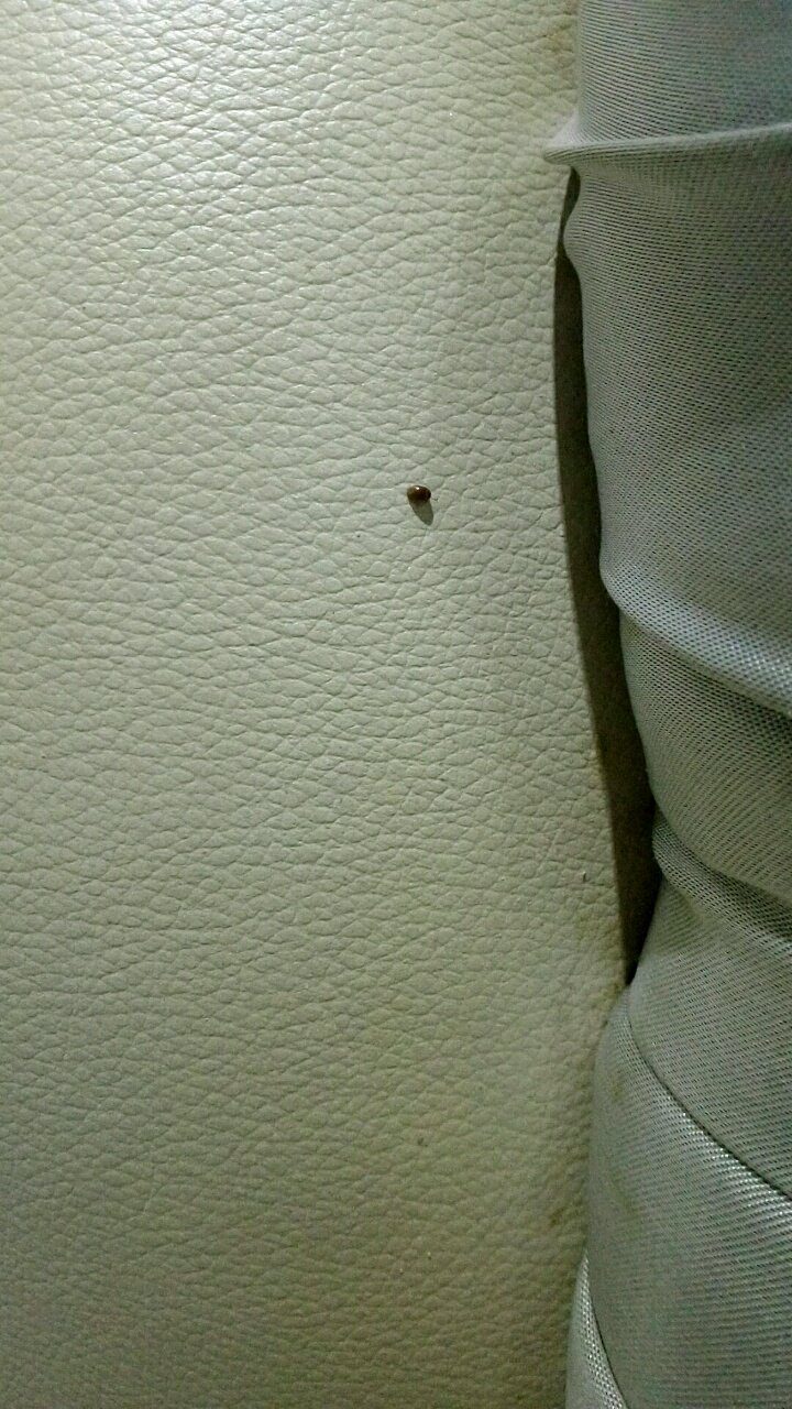 求助