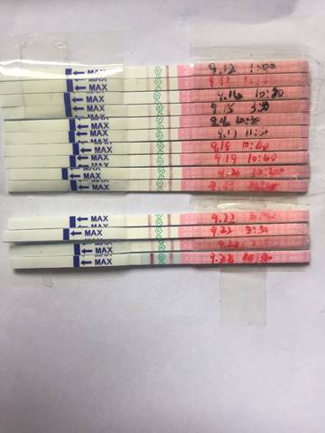 journal_insert_pic_845056457