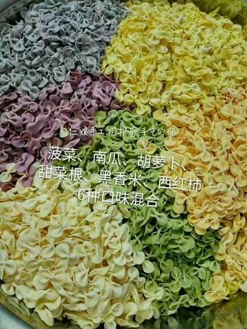 journal_insert_pic_845576581