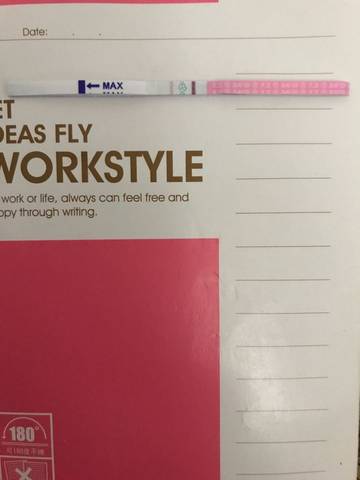 journal_insert_pic_846697899
