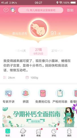 journal_insert_pic_846603564