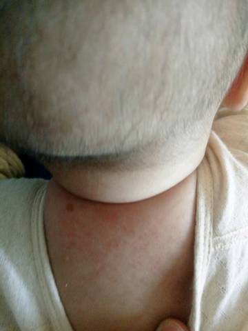 journal_insert_pic_847595601