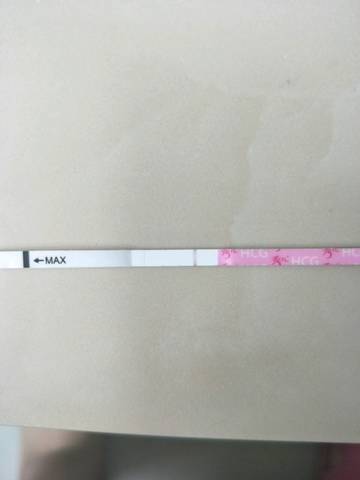 journal_insert_pic_847429740