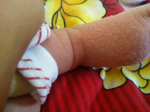 journal_insert_pic_847932033