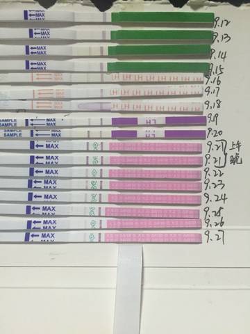 journal_insert_pic_848577228