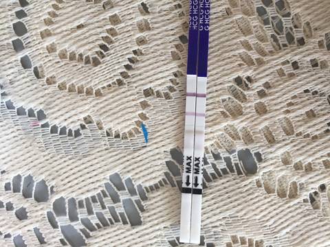journal_insert_pic_848343026