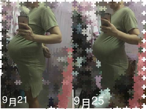 journal_insert_pic_848228064