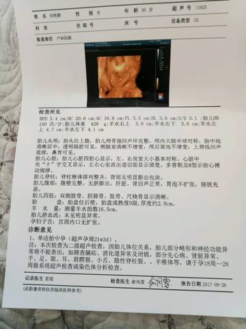 journal_insert_pic_849661384