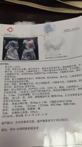 journal_insert_pic_850266375