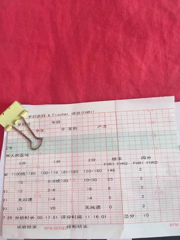 journal_insert_pic_850322697