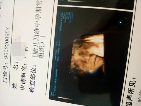 journal_insert_pic_850382980