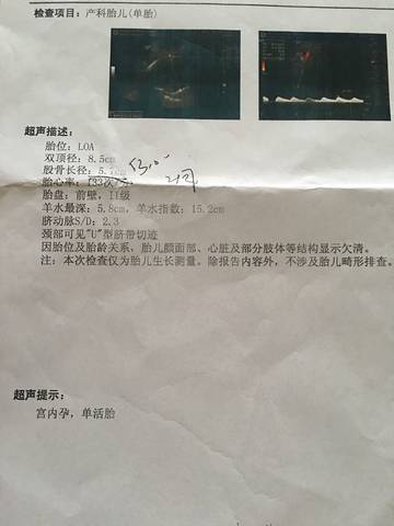 journal_insert_pic_850397899