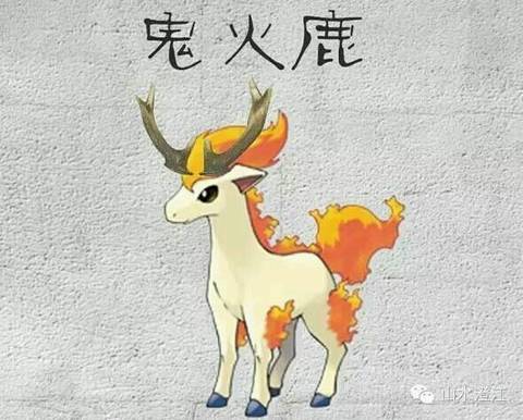 圈子 大杂烩聊吧 鬼火鹿: 云南特有鹿类,性格暴躁,杂食好战,常与跩南