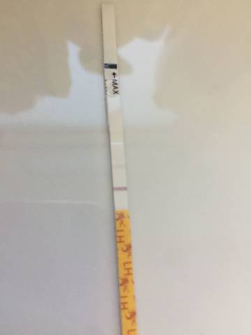 journal_insert_pic_851929210