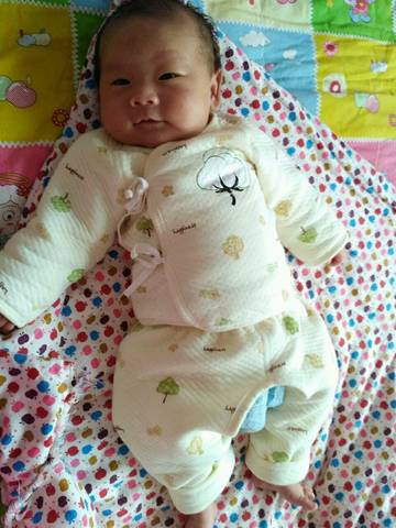 journal_insert_pic_852435105