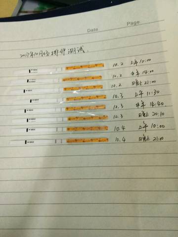 journal_insert_pic_853477830