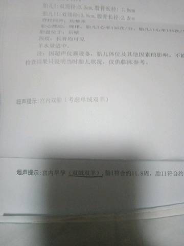 journal_insert_pic_855080787