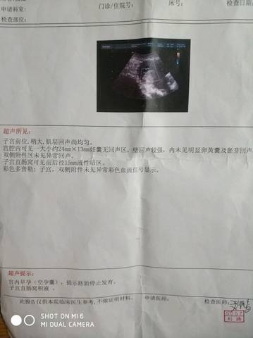 journal_insert_pic_856184186