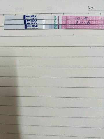 journal_insert_pic_855576131