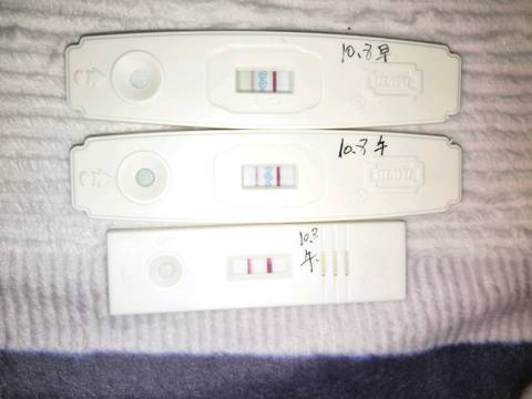 journal_insert_pic_856723446