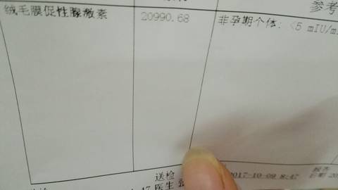 journal_insert_pic_857810649